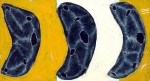 125